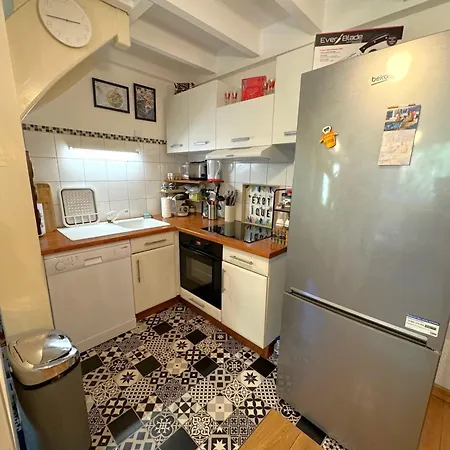 Maison Climatisae Avec Jardin - 6 Pers. - Fr-1-474-300 * La Teste-de-Buch